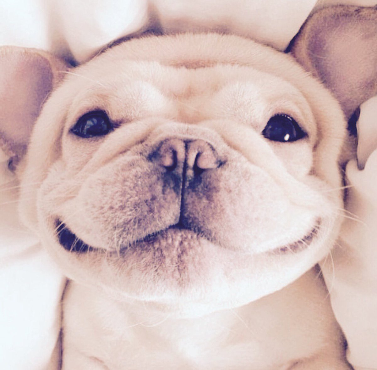 ProWhitePlus's tweet image. Oh Friday ! how we have waited for you 🙌🙌🙌 #smileandshare #FridayFun #vibes