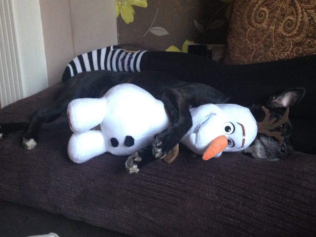 Here is my picture for your snow globe <a href="/uniofbeds/">uniofbeds</a> #Bedsmas15 #olaf