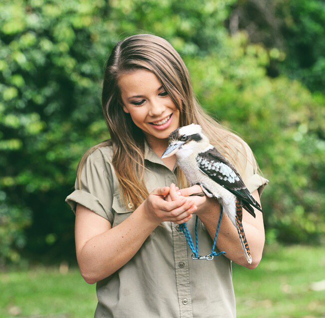 BindiIrwin's tweet image. Home.