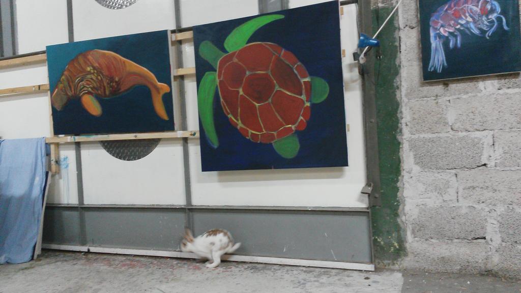 HadarAzaria's tweet image. Check out my new friend !! #artiststudio #ArtistsToWatch #bunny #Rabbit #abandoned