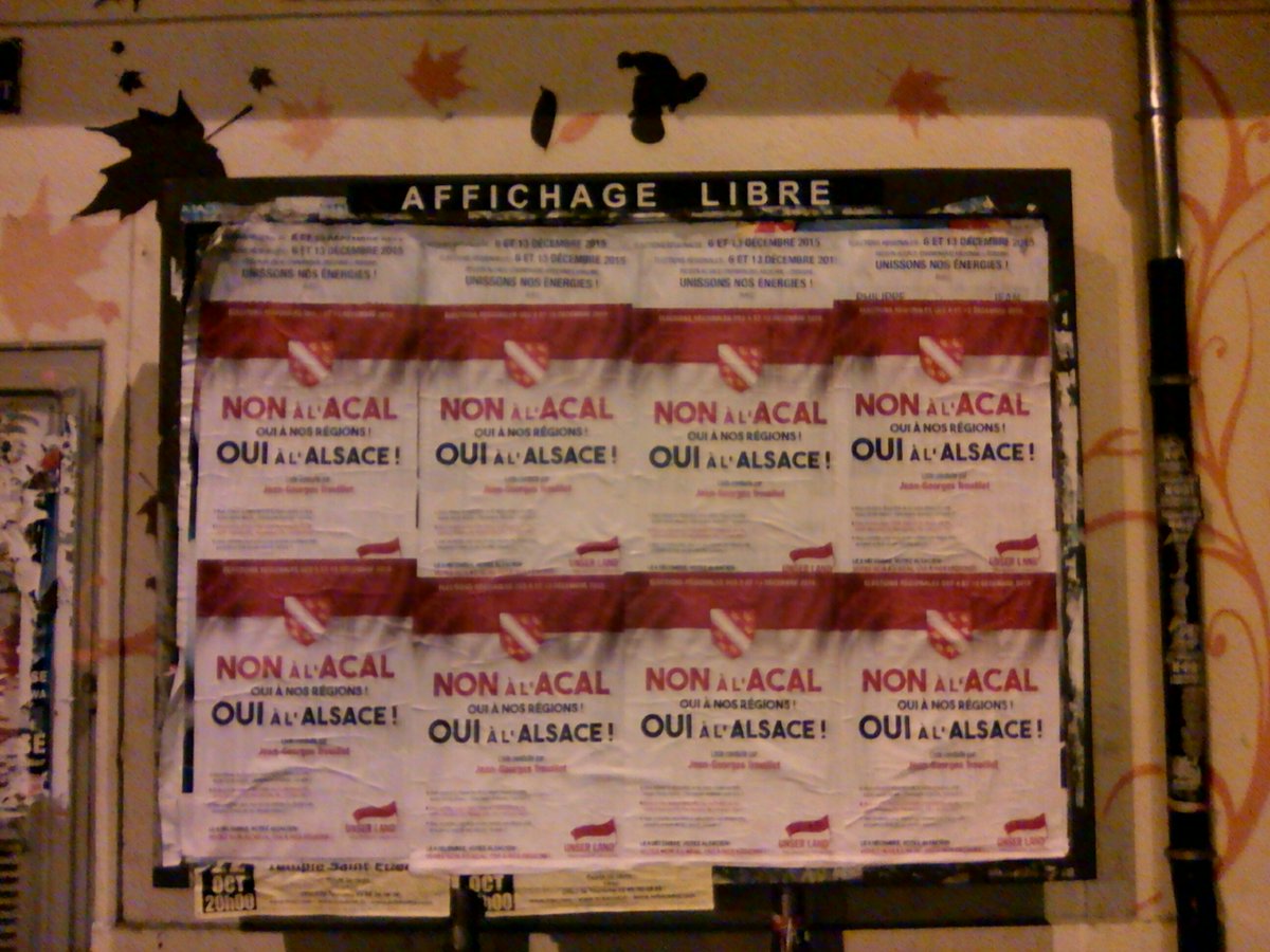 RegBaschung's tweet photo. Affichage par la section @UnserLand #Mulhouse !
Pour nos régions, votez @Trouillet2015 
#Regionales2015 #ACAL https://t.co/Bai5lzdA0N