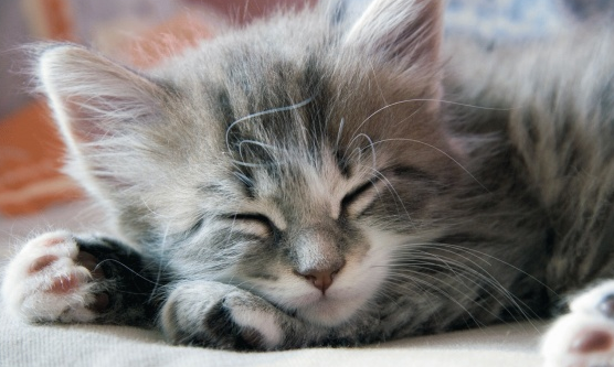 Emma Swan (@not_a_savior) on Twitter photo 