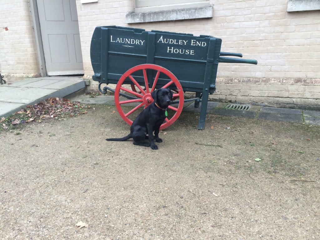 Embedded image permalink