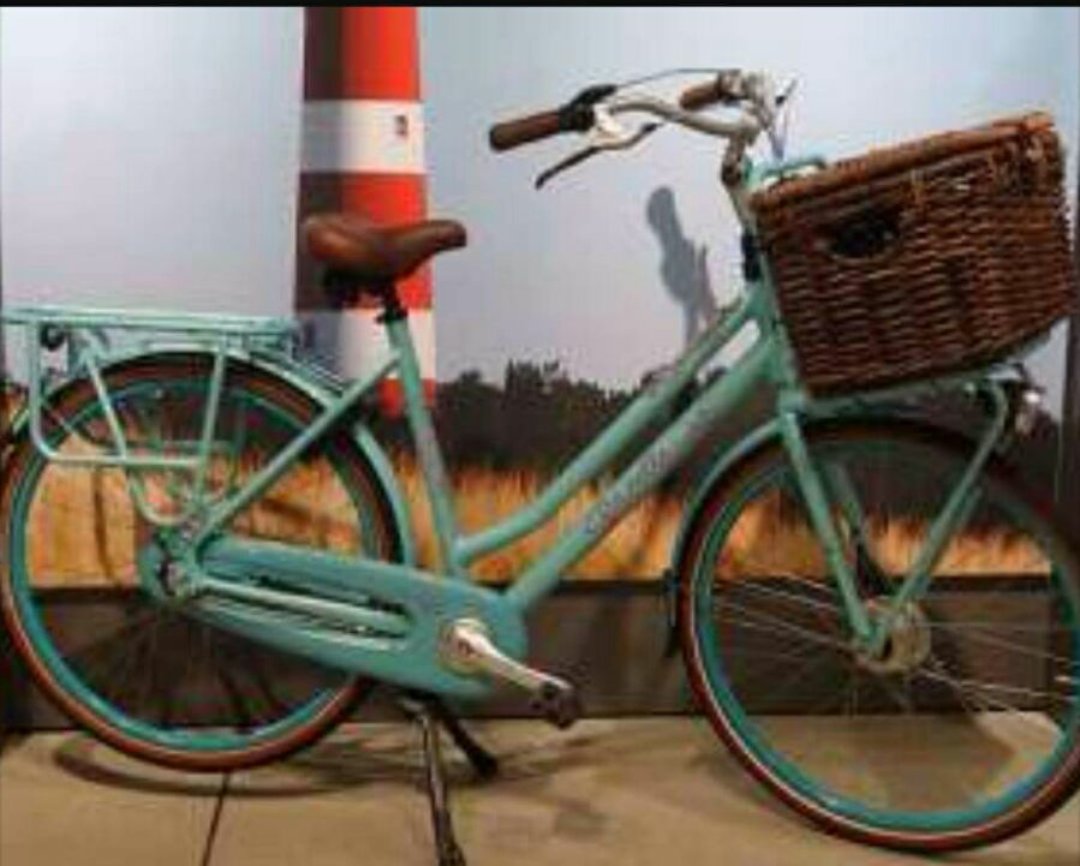 frk215's tweet photo. Vannacht in Tollebeek van de achterstraat gepakt,miss grace fiets met 1  stoeltje voor en 2 achterop @verlorenopurk https://t.co/CiibtKVydi