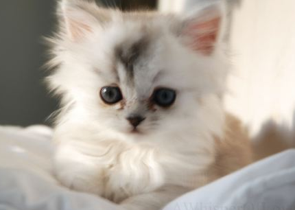 Emma Swan (@not_a_savior) on Twitter photo 