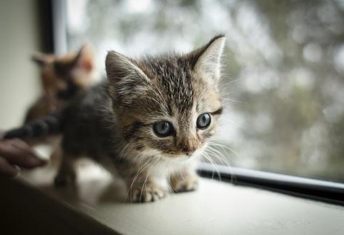 Emma Swan (@not_a_savior) on Twitter photo 