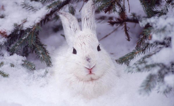 Inside Science &Tech tweet media
