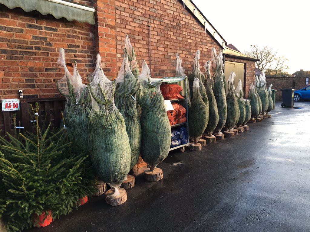 BewdleyFarmShop's tweet photo. Perfect weekend for getting the tree up! We have a wide variety of trees, non drop, potted, big or small! https://t.co/W3q6nq7Hqe