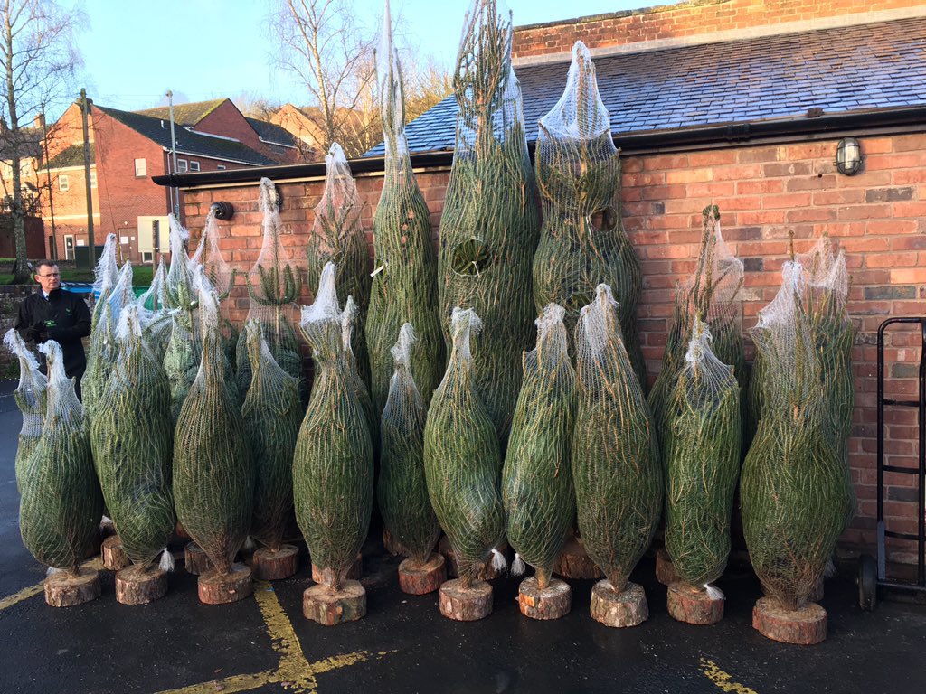 BewdleyFarmShop's tweet photo. Perfect weekend for getting the tree up! We have a wide variety of trees, non drop, potted, big or small! https://t.co/W3q6nq7Hqe