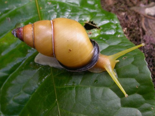 CVXuKnIU8AAj6yk.jpg:small