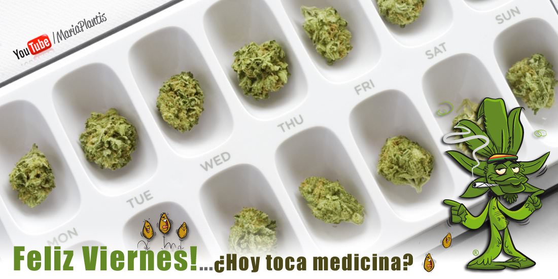 MariaPlantis's tweet photo. #BuenosDias Familiaaaa!!! Ayudanos a difundir #Legalizeit con #MariaPlantis. SI al autocultivo...#YOPLANTOMIPLANTA https://t.co/UNr3EEJ4Ox