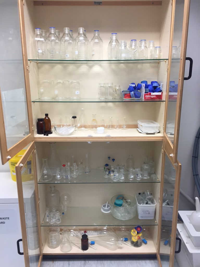 maxkelly99's tweet photo. I wise man once said, "bacteria would have the last laugh" @jgrantburgess But today is not that day! #LabClean https://t.co/FqGeOjhm6v