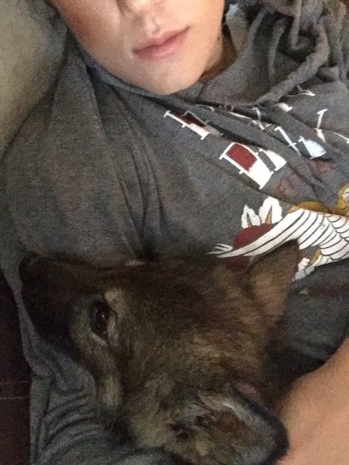 Wolf cub cuddles https://t.co/f2z0QFNgQl<a href="/tag/iworkouteverywednesday"class="tags"><span>#iworkouteverywednesday</span></a>
