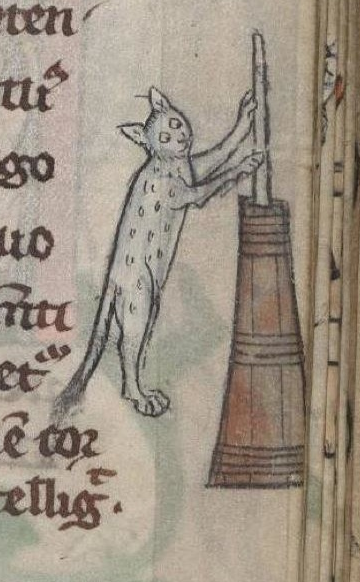 Embedded image permalink