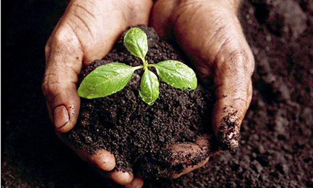 FSIN_News's tweet photo. Check out @GuardianGDP blog by @EmmaSAanne on #FLWPlatform, @WFP tackling #foodsecurity
https://t.co/bBDF1vPd59 https://t.co/aIsSJMgAtq