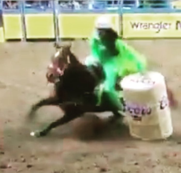 ShanaLester's tweet photo. Look ma, no hands! #GoBigOrGoHome #FallonTaylorFriday #NFR2015 https://t.co/5rBmatA11T