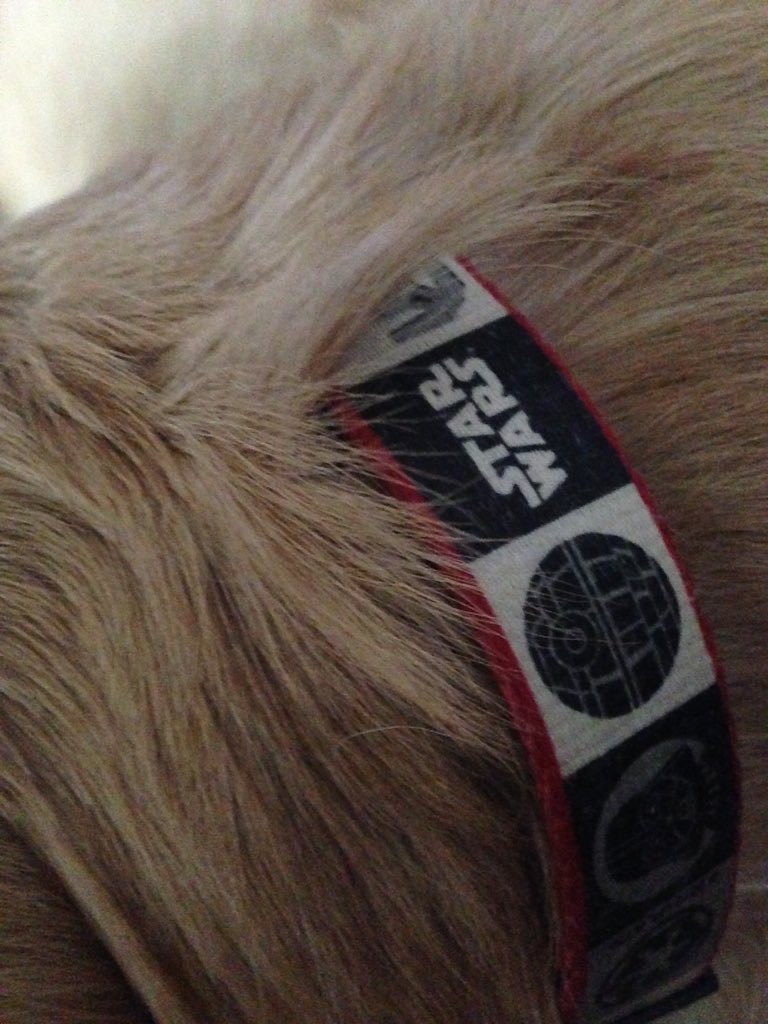 Luca is ready for both #TheForceAwakens and #Christmas