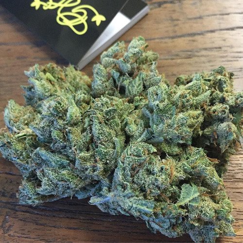 420fahrenheit's tweet photo. Keep it smoky, Twitter! #weed #hightimes #cannabis #legalize https://t.co/6Kp6vNfdrD
