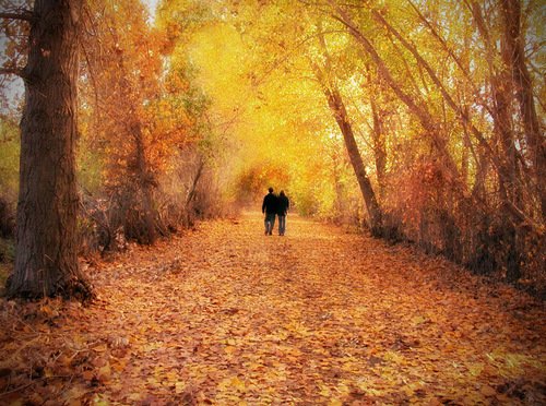 Поосеннему или по осеннему. Autumn walk. Осень прогулка. Fall walk. Fall walk.