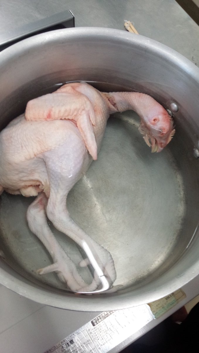 W ノ در توییتر 今日は骨格標本を作る為に 丸鶏を煮て さばいて 食しました あ く ま で も 標本を作る時の 副産物 として食べました 命の重みをよくよく感じましたね 来週も続きが楽しみです ごちそうさまでした 科技研 T Co 7mrkulpjnh W ノ در توییتر 今日は骨格標本を作る為に 丸鶏を煮て さばいて 食しました あ く ま で も 標本を作る時の 副産物 として食べました 命の重みをよくよく感じましたね 来週も続きが楽しみです ごちそうさまでした 科技研 T Co 7mrkulpjnh