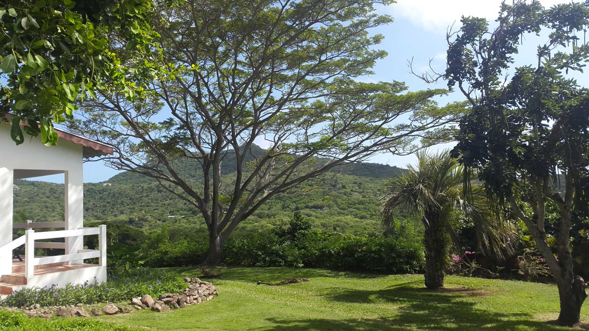 NevisNaturally's tweet photo. In the distance. #SaddleHill. #hikingtrail #historicalsite #hertitage #viewa #eco #nevisnaturally https://t.co/9slYNGz0HV