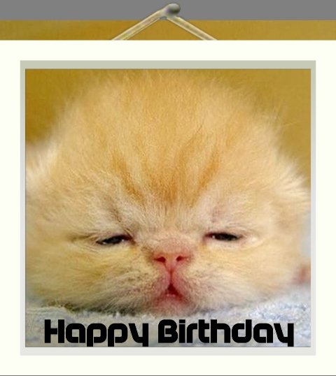 Happy Birthday to Stephen Dawson -Nathan Stewart Jarrett -Nathan Doulas-Kate Rusby-Chris Shepherd -Pamela Stephenson 