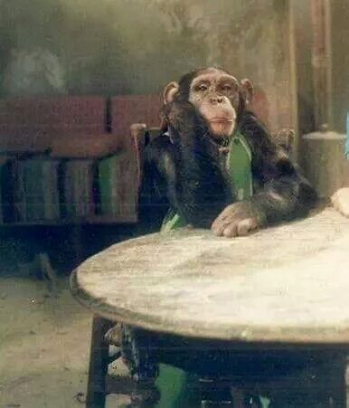 لما تكون في امتحان و الي قاعد قدامك يقولك هخلص المسأله و اقولهالك