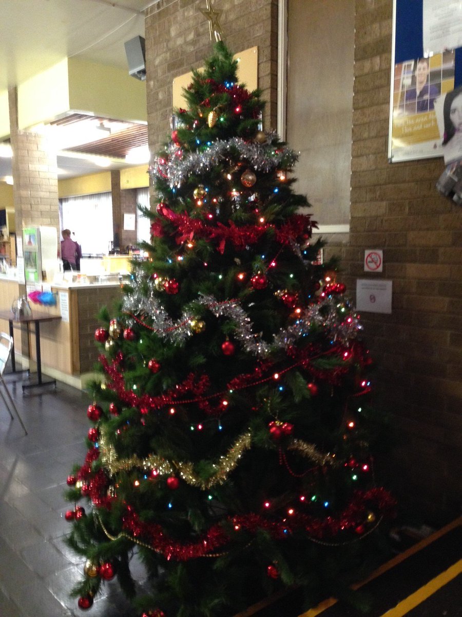 theEccy's tweet photo. Christmas Tree at the Ecumenical Centre thanks to Alan for all the heavy work, with Ellen, Sarah &amp; @Richard22461907 https://t.co/yW2pr5gHo9