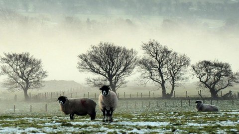FarmersGuardian's tweet image. It's time to capture winter... Use #FGwinter on your #photography-we'll pick our favourites for Pinterest/Instagram!