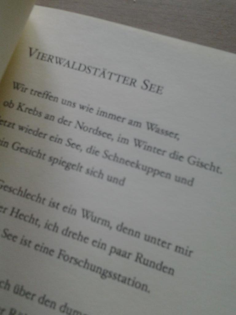 parasitenpresse's tweet photo. parasitenpoems 3: #vierwaldstättersee von #danielketteler aus #dasknackeninderrille #schneekuppe https://t.co/of2ua7B8lZ