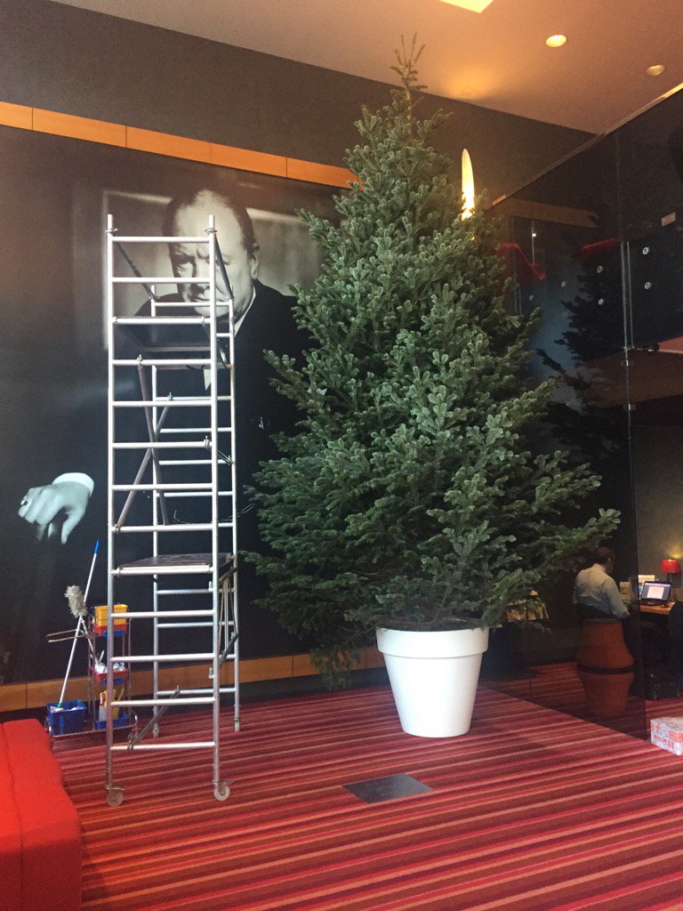arjanvanesveld's tweet photo. De kerstboom @GrandWinston is gearriveerd. https://t.co/pegk3a1ZMo