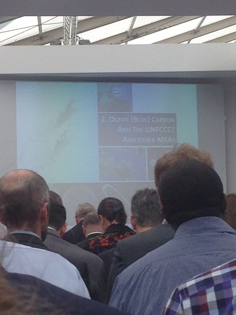 RonaldTardiff's tweet photo. Talking about #BlueCarbon at #OceansDayCOP21. A topic I researched at the @EPA for #OSGScholars. 
#UConnTalksClimate https://t.co/7wd9VmvT9k