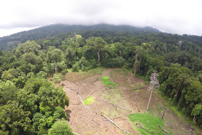 Perhutanan Sosial di Aceh, Bisakah Diterapkan? mongabay.co.id/2015/12/04/per… <a href="/BandaAcehInfo/">Banda Aceh</a>