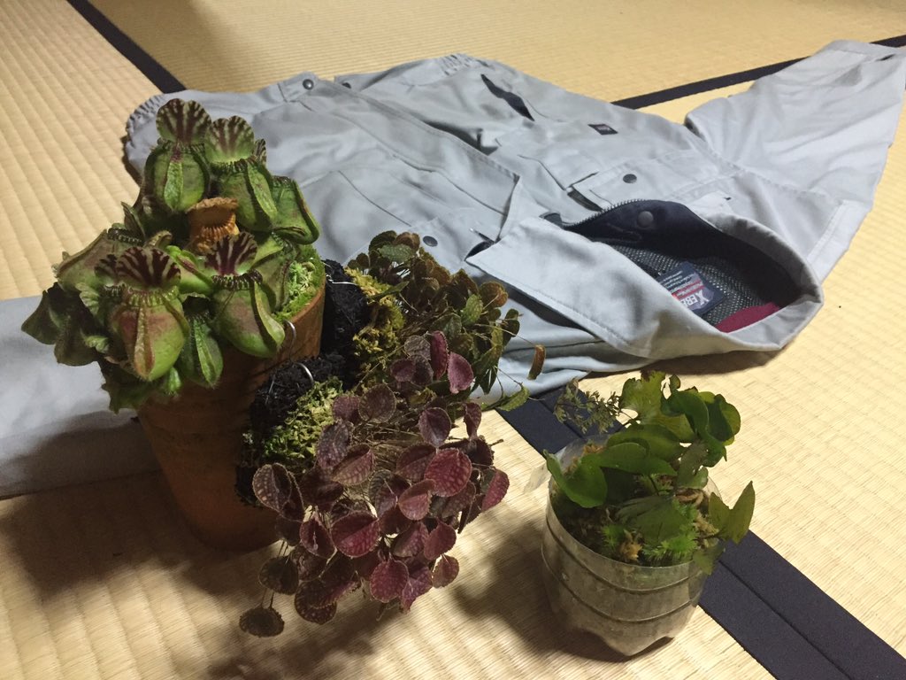 Borderbreak3rd大阪 Trsene V Twitter