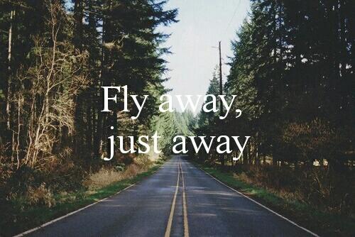 Foua_hb94's tweet photo. #let's_fly https://t.co/sW3xlw3iiX