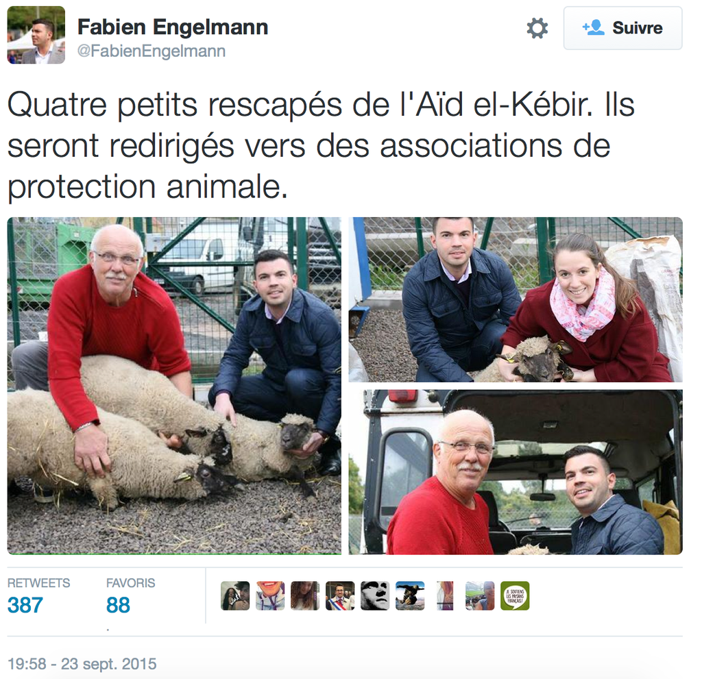 davidperrotin's tweet photo. Chers cochons, sachez que ce maire #FN préfère les moutons \_(ツ)_/ #Hayange https://t.co/UY3wiOa1rL