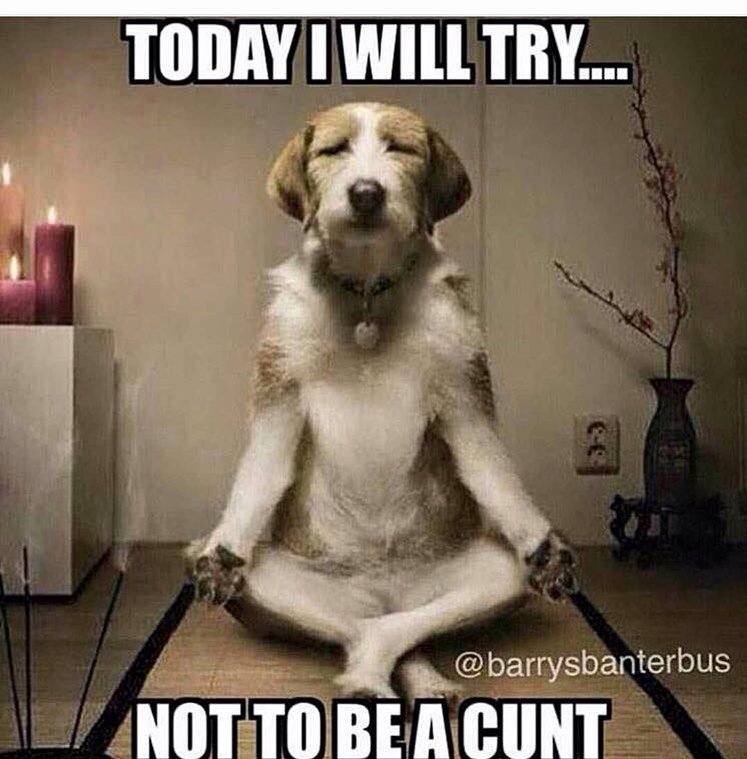 thomasyoungjr's tweet image. Seriously ! #iwilltry