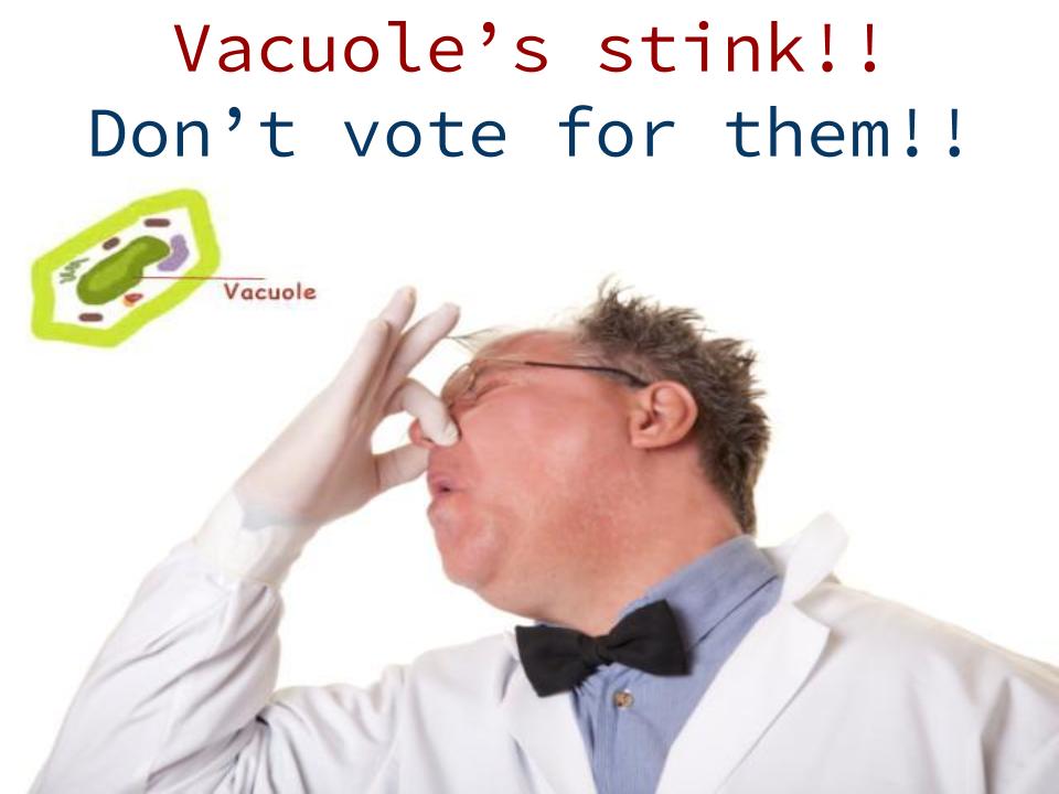 abrownhpsd's tweet photo. Do NOT vote for Vacuoles! They STINK!! #hpsdbio #organellewars https://t.co/B4xmYRdjpS