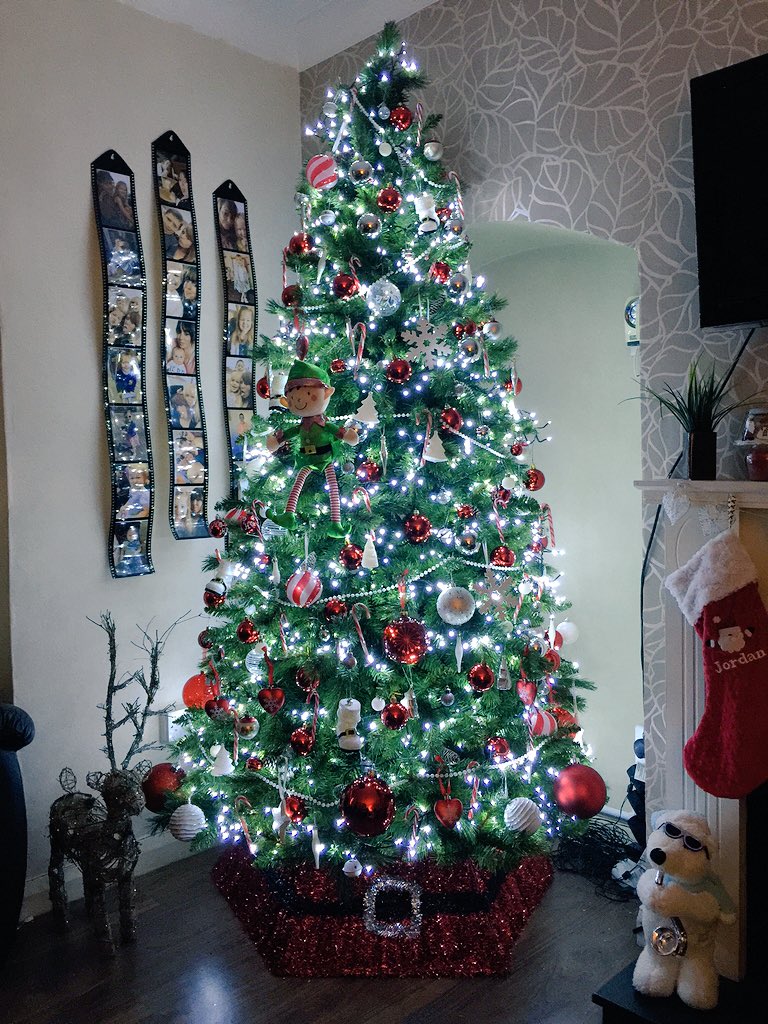 lucylu9213's tweet photo. Every year I love my tree 😍 #awesometree #fulltree #christmas2015 #christmastree https://t.co/iFRsBYq3Y4