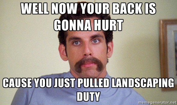 well now your back is gonna hurt because you just pulled landscaping duty