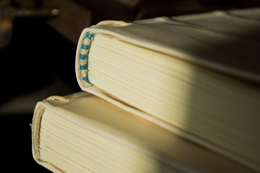 Workshop van Anne Hillam gevolgd. Twee boeken uit tijdvak 1550-1700 gemaakt. Veel creatieve inspiratie opgedaan!
