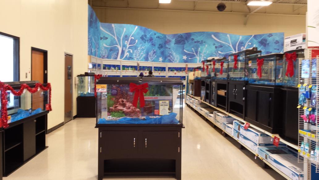 petsmart0667's tweet photo. This is the season! Don't forget your new tank for the Holidays with great deals going on! #petsmart https://t.co/IJt2tgXJEs