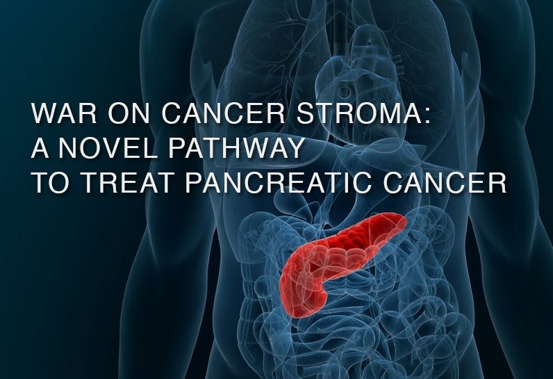 War on cancer stroma: a novel pathway to treat  goo.gl/JI8Xih #waroncancer #pancreatic #cancer