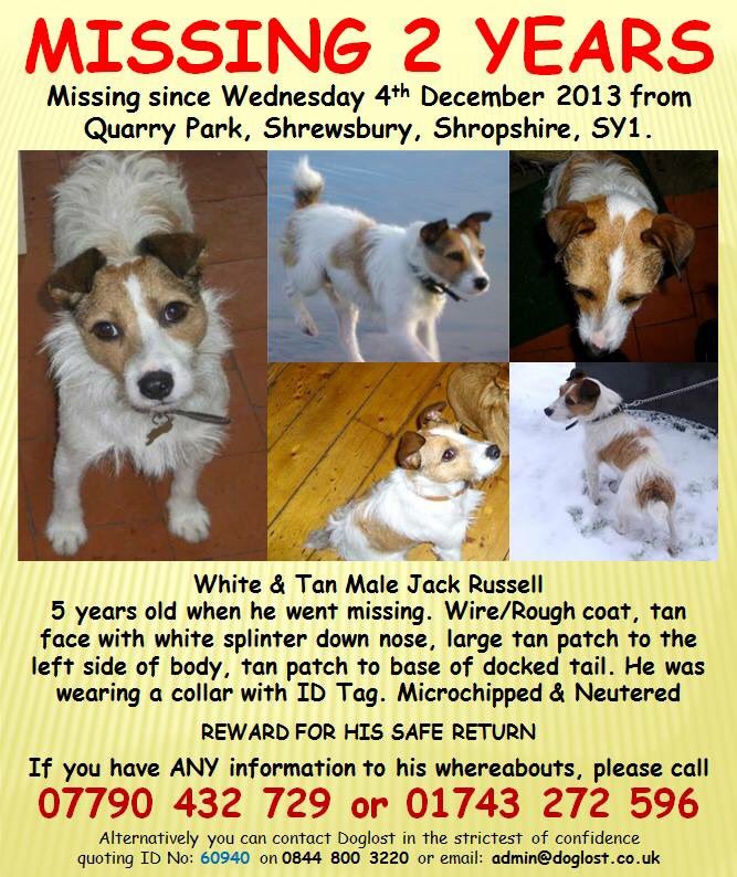 The_Animal_Team's tweet photo. #missing #Shrewsbury #shropshire SY1 #rt https://t.co/xRLP7vpZ4s
