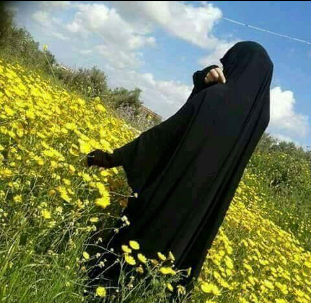 Fadak__313's tweet photo. اين اللقا يابن الأطايب دلني
 فالدمع ضيع ناظري عن 
موضعي ناجيت حبك في
الفؤاد متيماً فارحم 
وداوي في لقاك توجعي
.
.
. https://t.co/TJ8WMKDzmS
