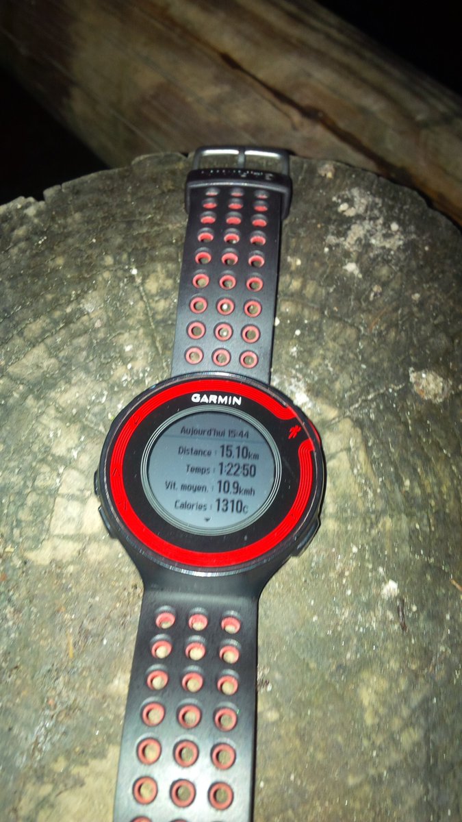 Coachsportif_BE's tweet photo. #run #foretdesoignes #zonienwoud #FCout #nevergiveup https://t.co/tpnERWXhHj