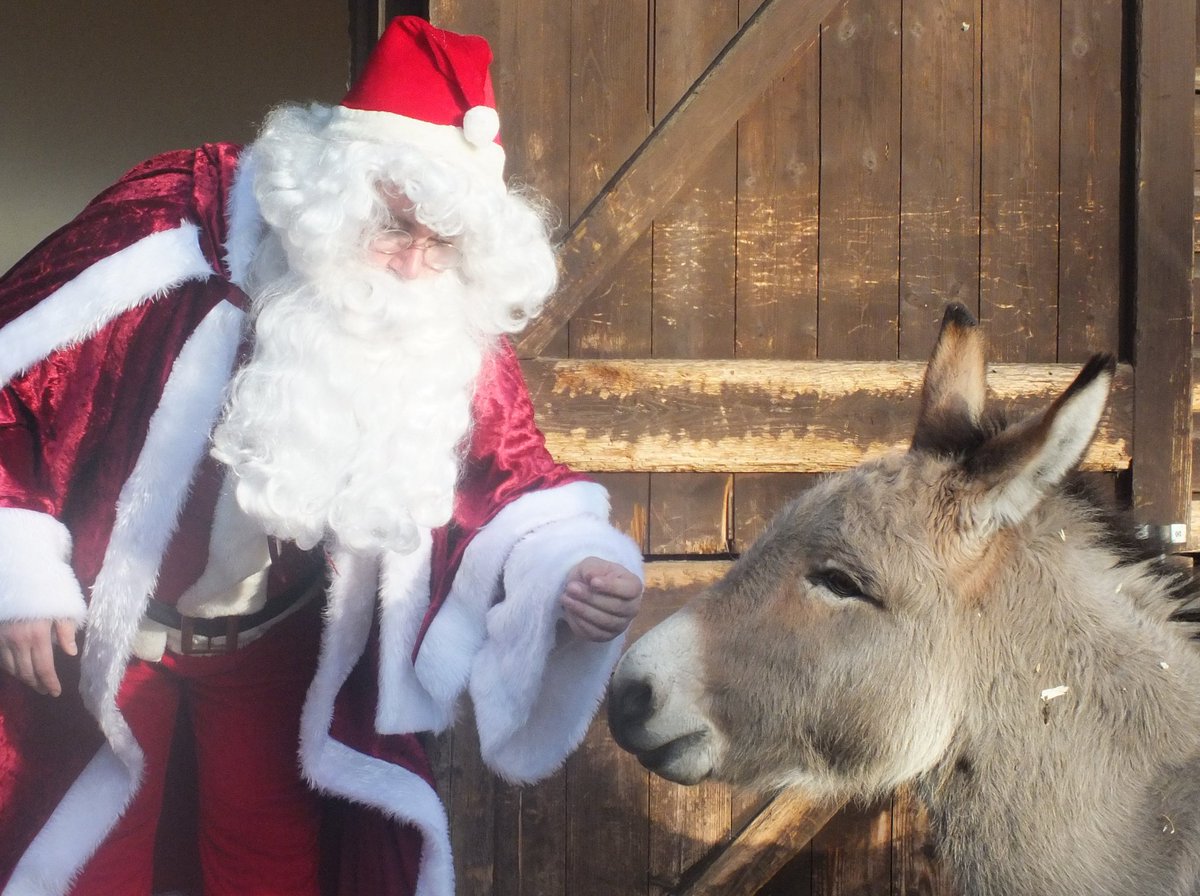 Santa's hanging out at Battersea Park Zoo timeout.com/london/kids/sa…
