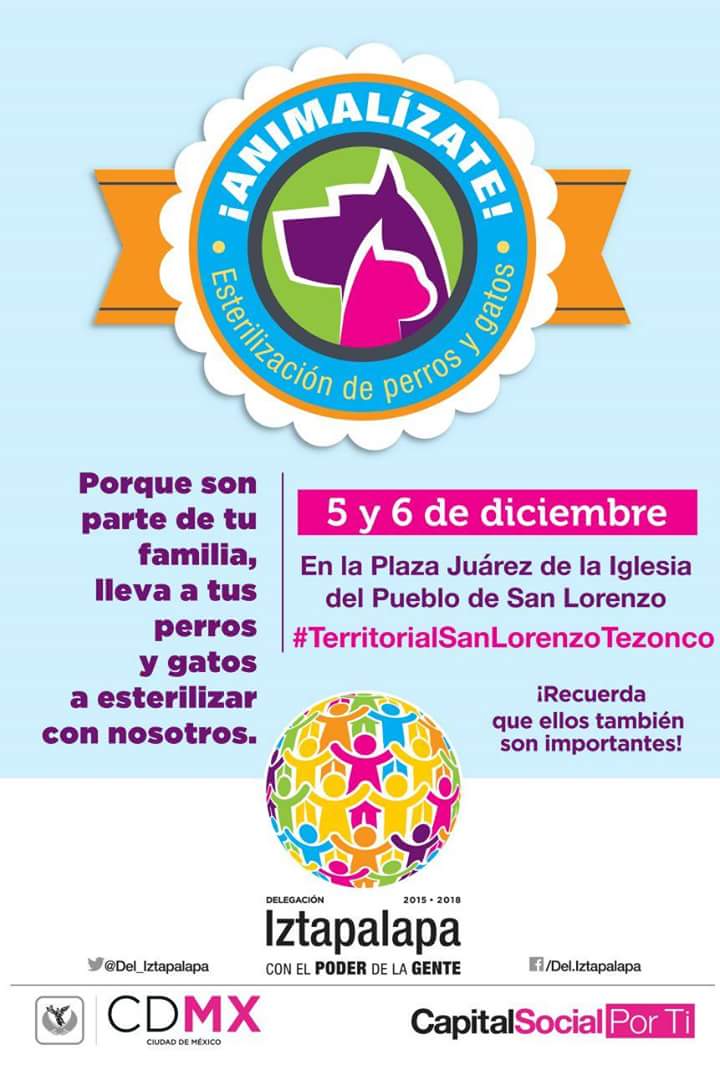 gurtubay77's tweet photo. Esterilización gratuita lleven 12 hrs de ayuno y una cobija 5521360632 https://t.co/uAm7xcUhNt
