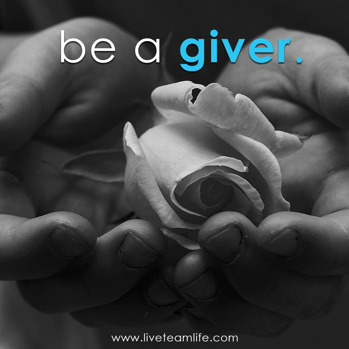 LiveTeamLife's tweet photo. Click on the link to Adopt-a-Family this Christmas #AAF2015 #FOKWC
https://t.co/n1KsKZ12ut https://t.co/WVhbbEmEHE