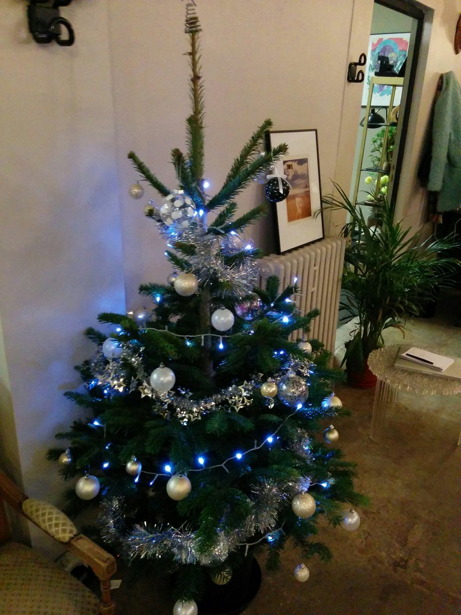 man0nb's tweet photo. Hubert, 7 ans, fraîchement débarqué @AgenceUzik pour le plaisir de tous ! 🎄😍Merci @UberFR et @Treezmas  #UberSAPIN https://t.co/IpDe6HhdNb